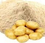 aardappelzetmeel